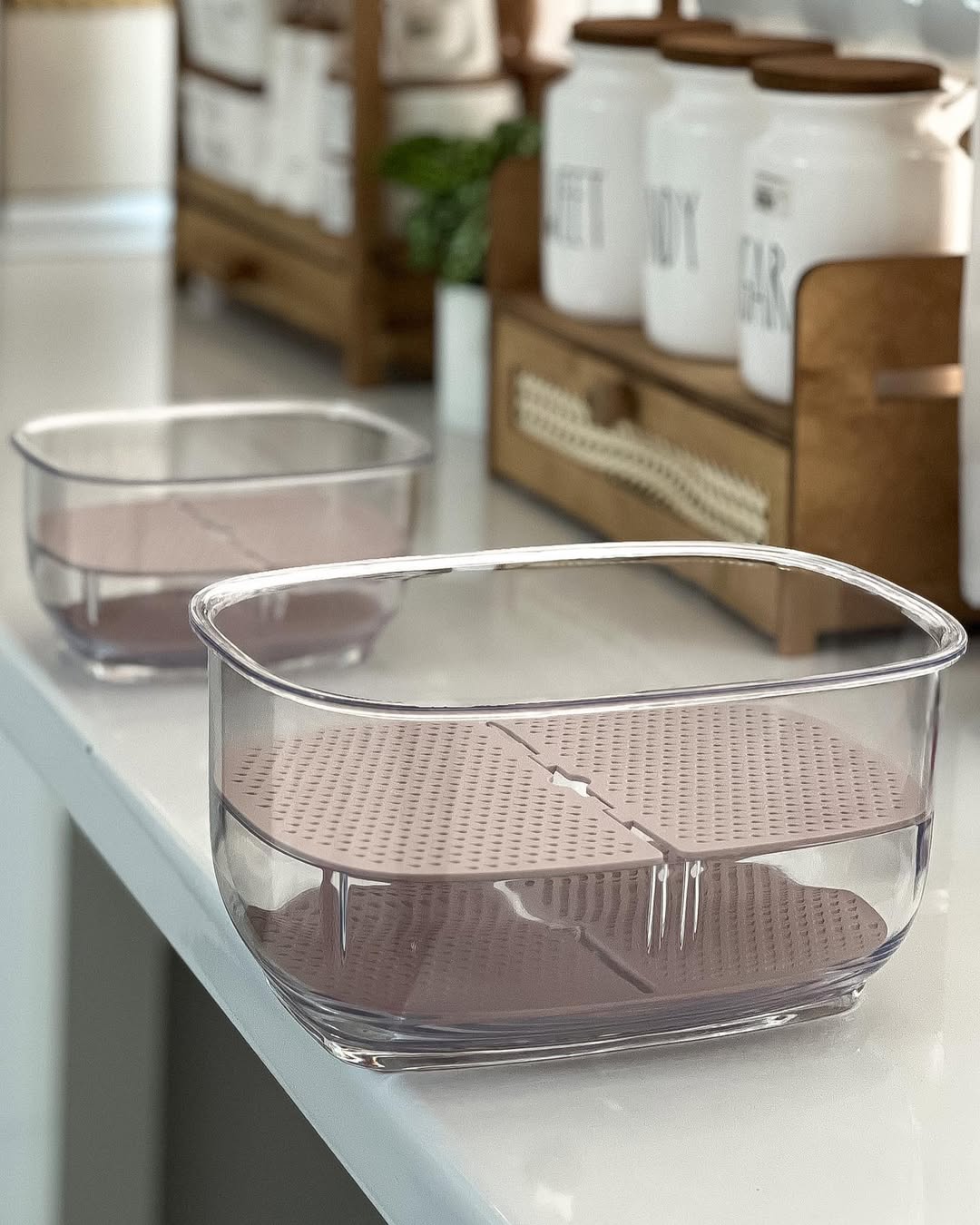 Limon Fruit & Vegetable Container!