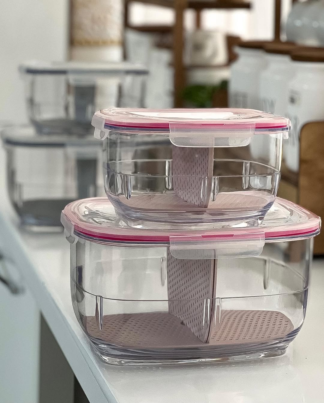 Limon Fruit & Vegetable Container!