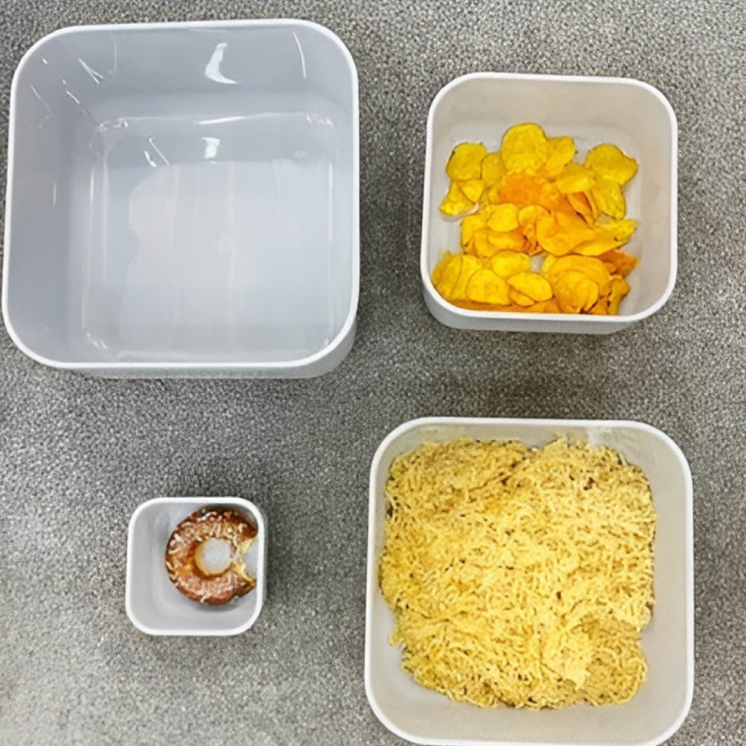 ZIBA Plastic Bowl Set with Airtight Lid 4-Pcs