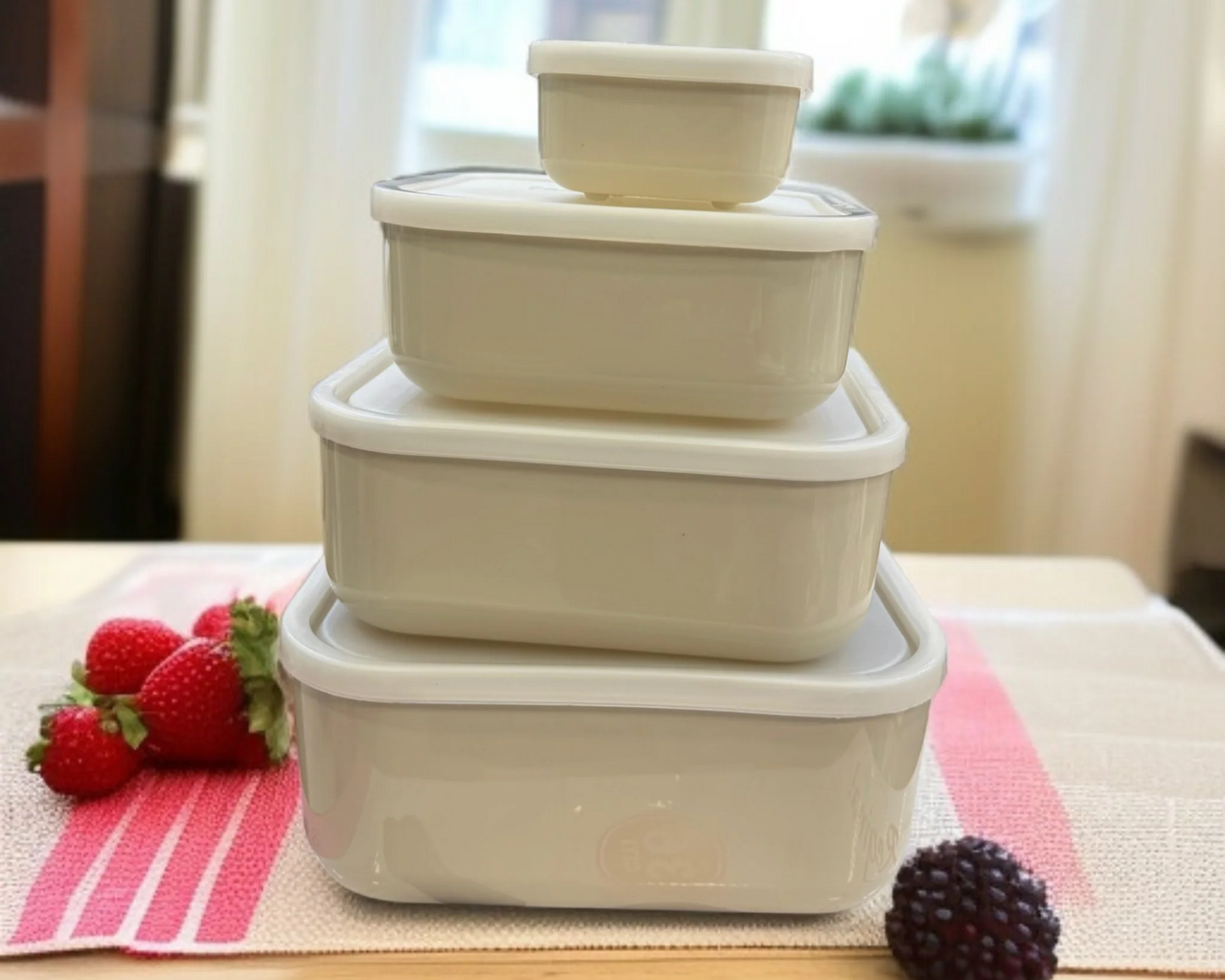 ZIBA Plastic Bowl Set with Airtight Lid 4-Pcs