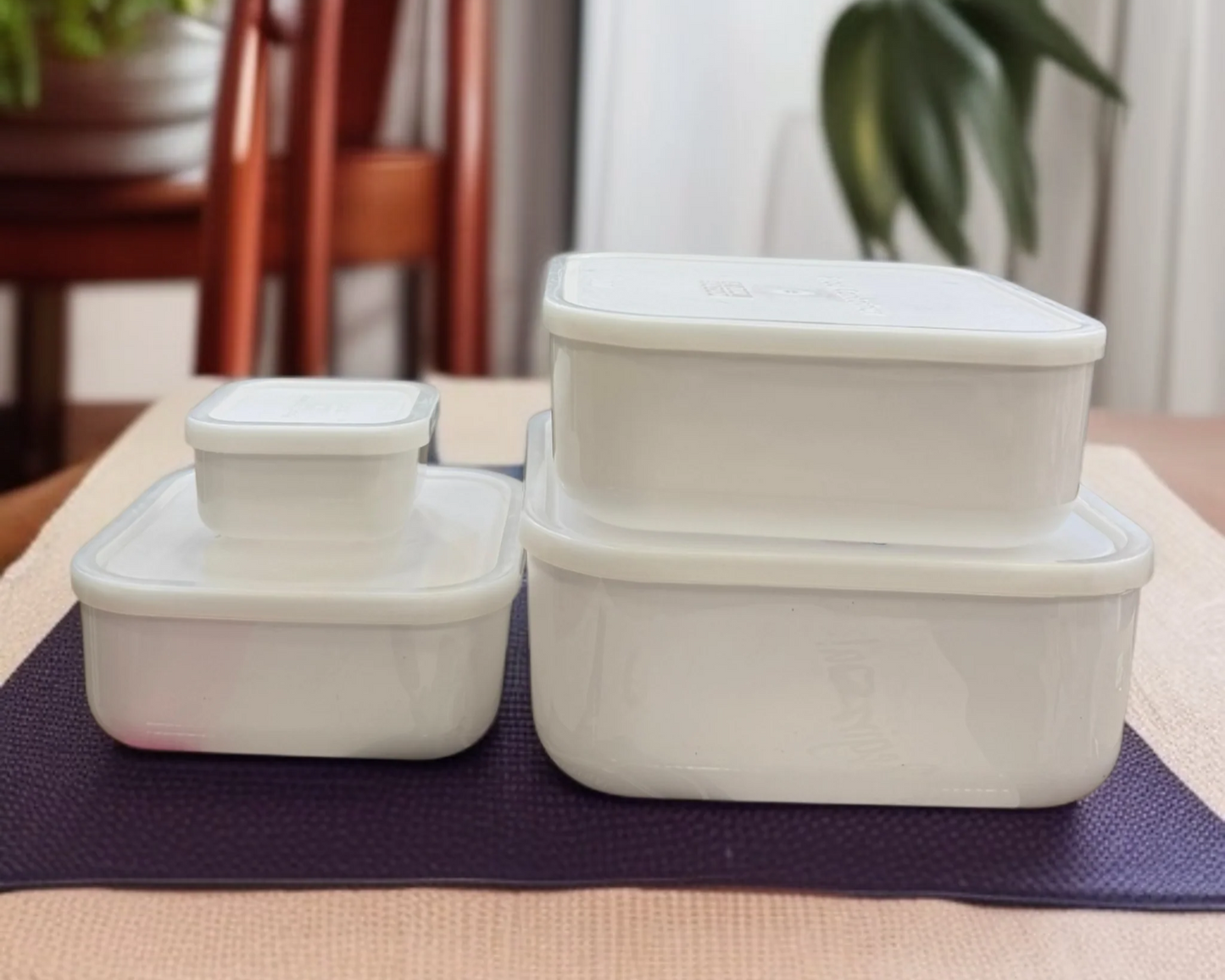 ZIBA Plastic Bowl Set with Airtight Lid 4-Pcs