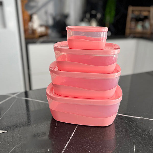 Ashkan Plastic Bowl Set 4-Pcs!