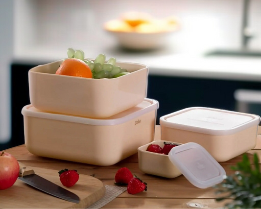 ZIBA Plastic Bowl Set with Airtight Lid 4-Pcs