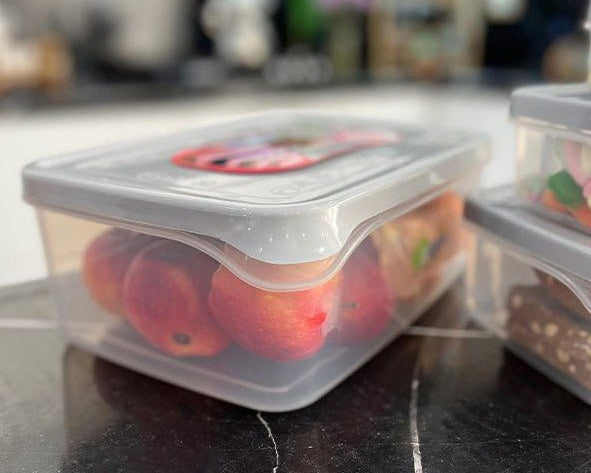 Ashkan Plastic Food Container Set 4-Pcs (Rectangle)