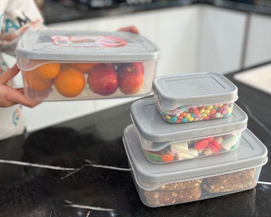 Ashkan Plastic Food Container Set 4-Pcs (Rectangle)