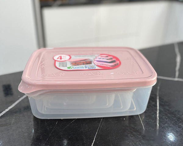 Ashkan Plastic Food Container Set 4-Pcs (Rectangle)